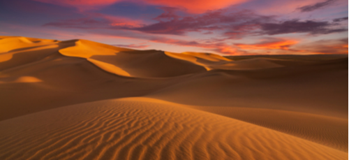 Approximately 1/3 of the Earth's land surface is desert.