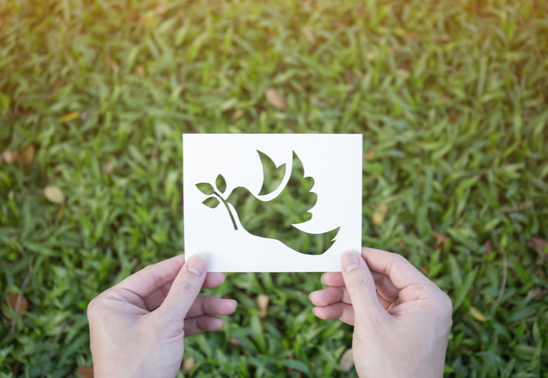It's International Day of Peace!