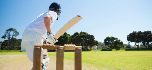 winner cricket world cup