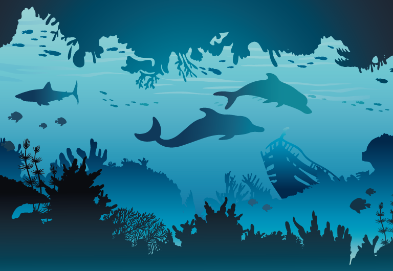 Did you know that today is WORLD OCEANS DAY?